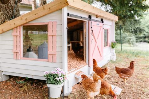 homemade chicken coops and hen houses